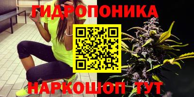 jwh Нарткала