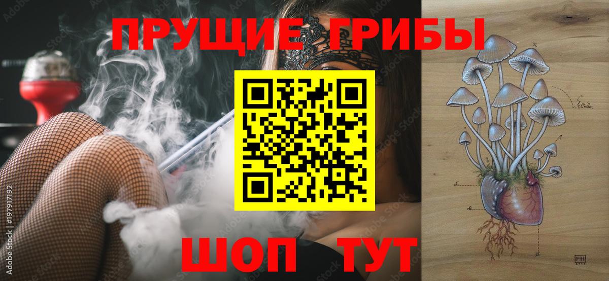 Псилоцибиновые грибы Psilocybe Ульяновск