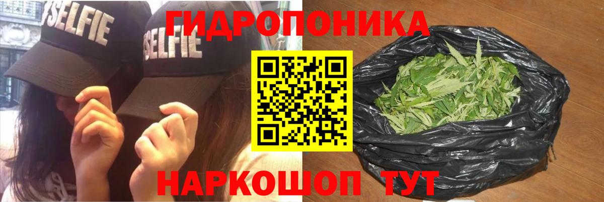 Марихуана конопля Ульяновск